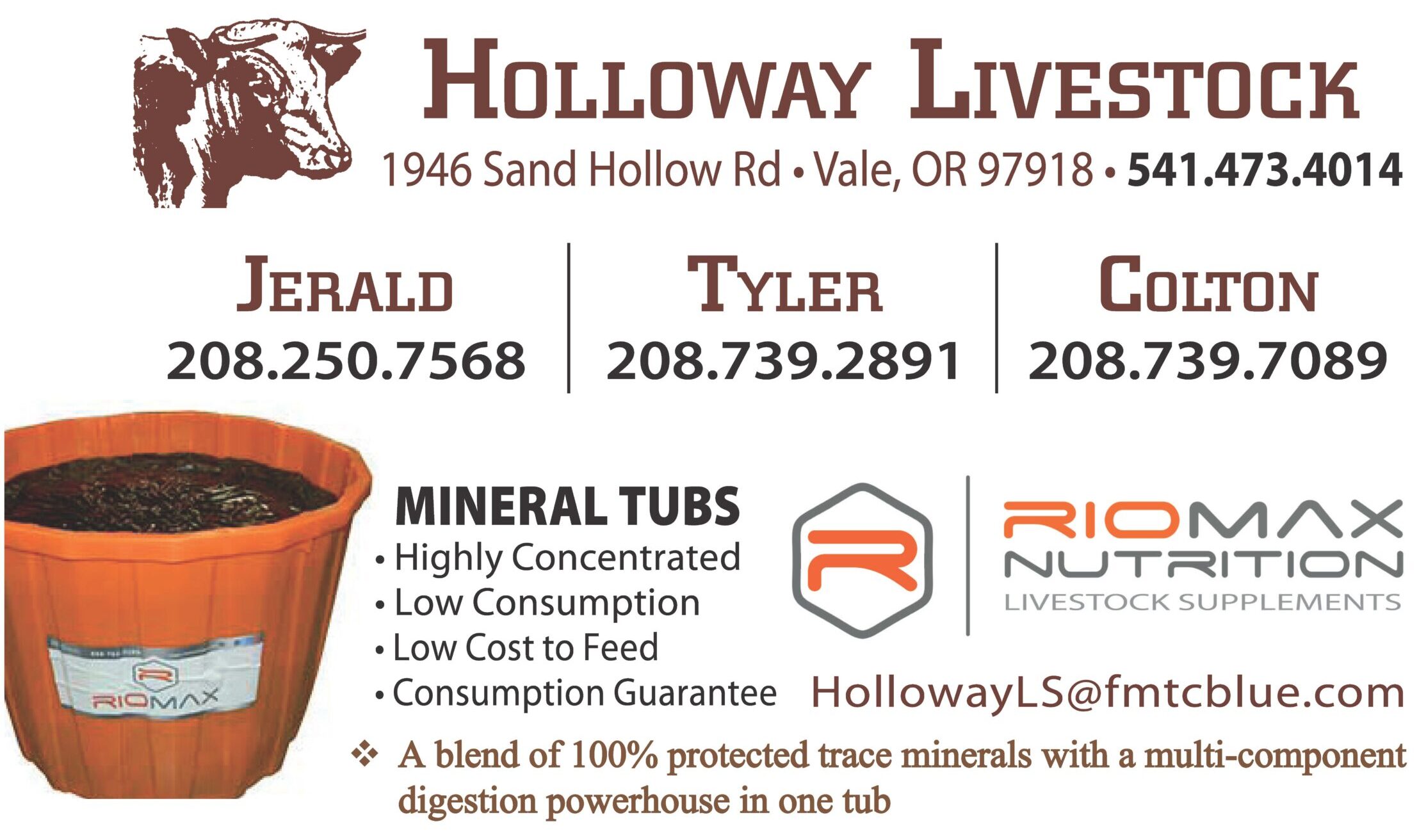 Holloway Livestock Busness cards